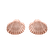 Náušnice Luxury Clam2
