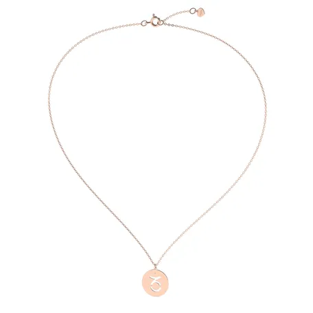 Náhrdelník s diamantom Capricorn